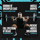 Animal Nitro EAA-N101 Nutrition