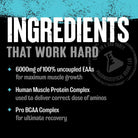 Animal Nitro EAA-N101 Nutrition