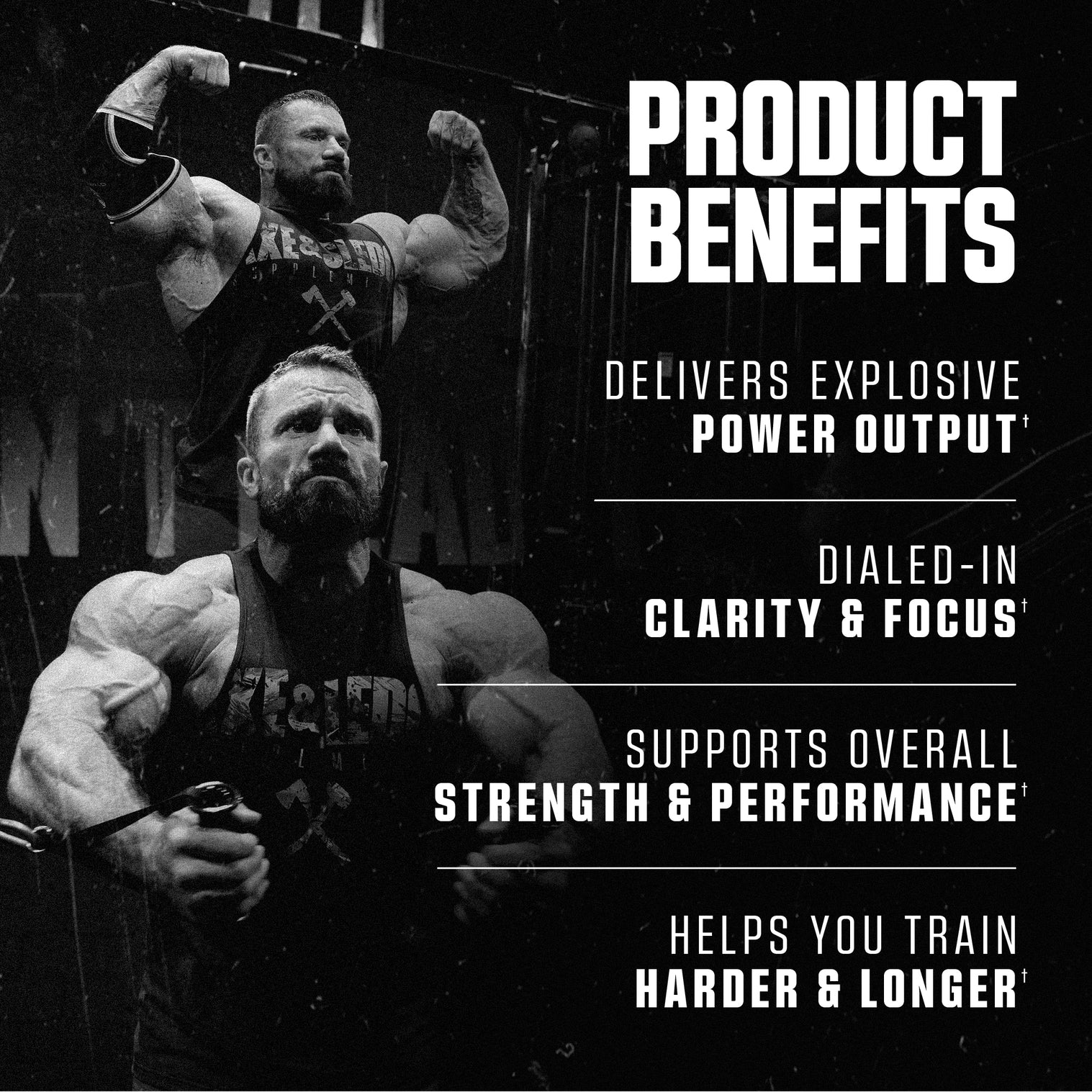 Axe & Sledge DBAP-N101 Nutrition