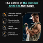 BetterAlt Shilajit Sea Moss-N101 Nutrition