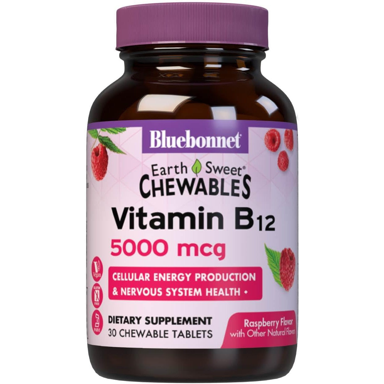 Bluebonnet EarthSweet Chewables Vitamin B12 5000 mcg, Raspberry-N101 Nutrition