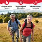 LifeSeasons B/P Stabili-T-N101 Nutrition