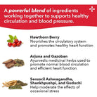 LifeSeasons B/P Stabili-T-N101 Nutrition