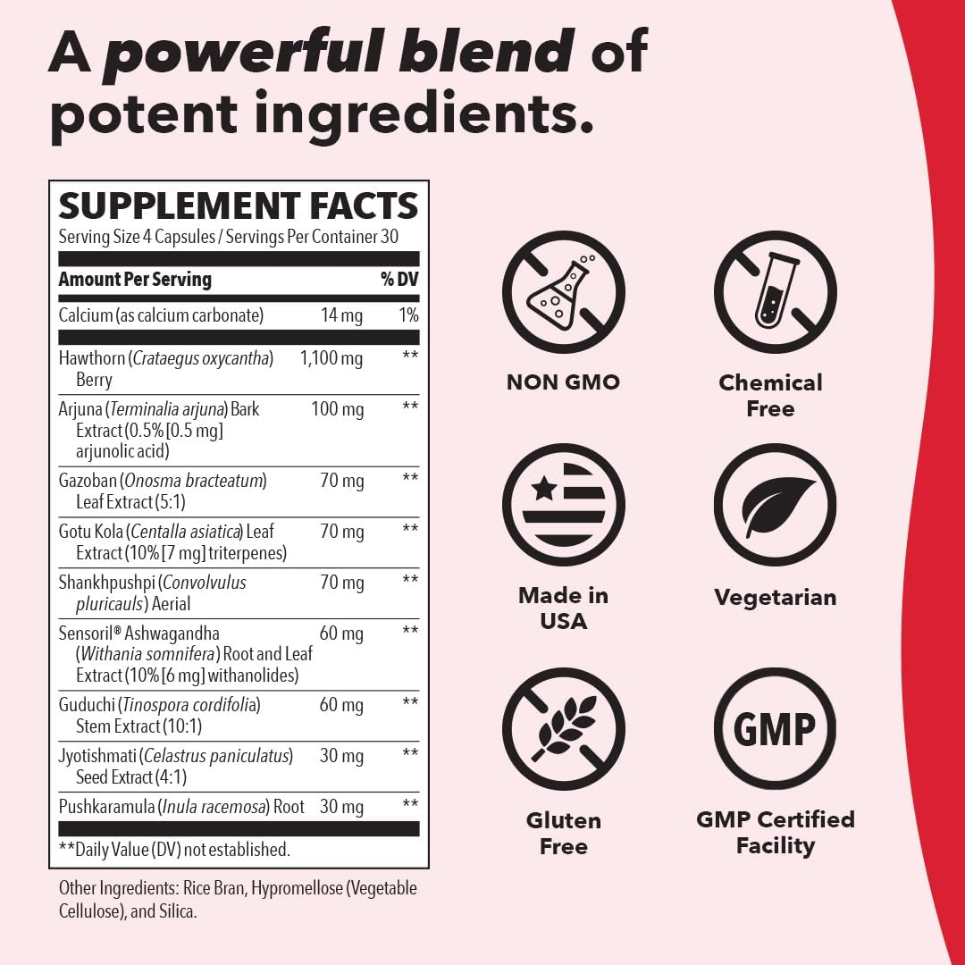 LifeSeasons B/P Stabili-T-N101 Nutrition