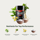 SNAP Nitric Oxide Booster-N101 Nutrition