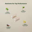 SNAP Nitric Oxide Booster-N101 Nutrition