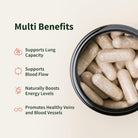 SNAP Nitric Oxide Booster-N101 Nutrition