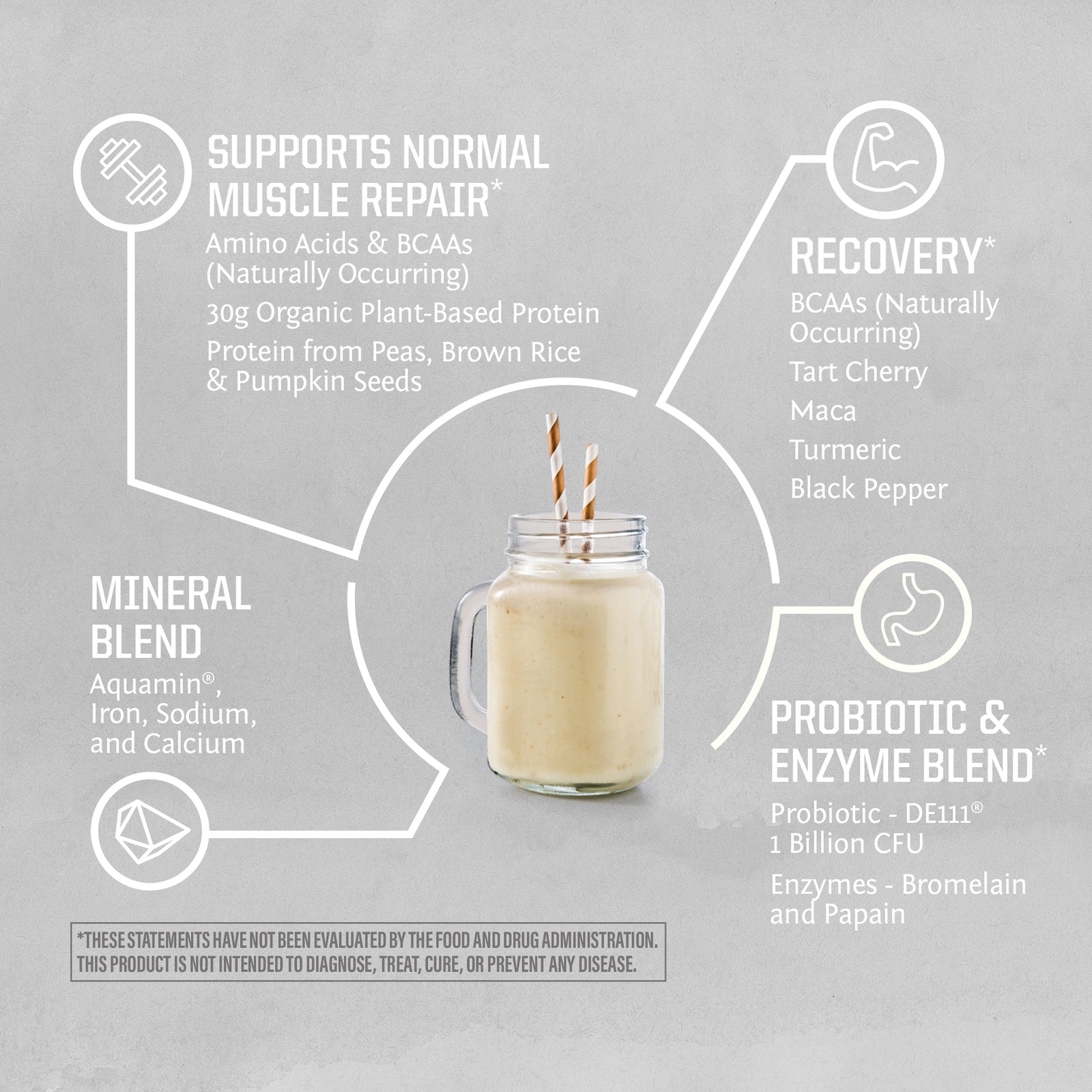 Sunwarrior Sport Active Protein-N101 Nutrition