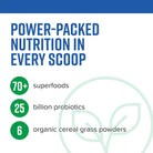 Vibrant Health Green Vibrance Blueberry Lemon-N101 Nutrition