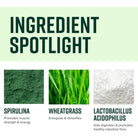 Vibrant Health Green Vibrance Blueberry Lemon-N101 Nutrition