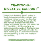 Nature's Way Ginger Root-N101 Nutrition
