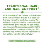Nature's Way Horsetail Grass-100 vegan capsules-N101 Nutrition