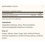 Solgar Vitamin B1 (Thiamin) 100 mg-N101 Nutrition