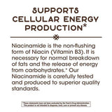 Nature's Way Niacinamide (non-flushing) 500 mg-N101 Nutrition