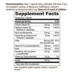 Nature's Way B-100 Complex-100 capsules-N101 Nutrition