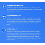 Phase 1 Nutrition Lean Phase-N101 Nutrition