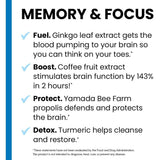 LifeSeasons NeuroQ Brain Health Memory & Focus-N101 Nutrition