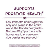 Nature's Way Saw Palmetto Extract-N101 Nutrition