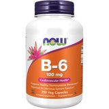 NOW Vitamin B-6 - 100 mg-250 veg capsules-N101 Nutrition