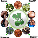 The Lab A-Bolic4-N101 Nutrition