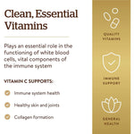 Solgar Vitamin C 1000 mg-N101 Nutrition