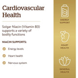Solgar Niacin (Vitamin B3) 500 mg-N101 Nutrition