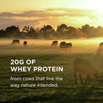 Solgar Grass Fed Whey To Go Protein Powder-N101 Nutrition