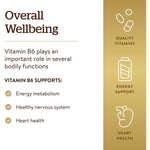 Solgar Vitamin B6 50 mg-100 tablets-N101 Nutrition