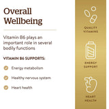 Solgar Vitamin B6 50 mg-N101 Nutrition