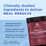 Ancient Nutrition Multi Collagen Protein (Unflavored)-N101 Nutrition