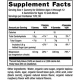 Natural Vitality CALM Gummies-120 gummies-N101 Nutrition