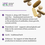 Michaels Naturopathic Programs Quick Immune Response-120 vegan tablets-N101 Nutrition