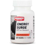 Hammer Nutrition Energy Surge-N101 Nutrition