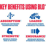 MyoBlox BLO 3D Muscle Pump Formula-N101 Nutrition