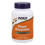 NOW Plant Enzymes-N101 Nutrition